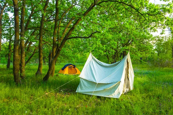 Turisztikai Tábor Zöld Erdőben Gyönyörű Nyári Utazási Jelenet — Stock Fotó