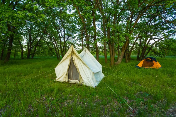 Yeşil Ormandaki Turistik Kamp Güzel Yaz Seyahati Sahnesi — Stok fotoğraf