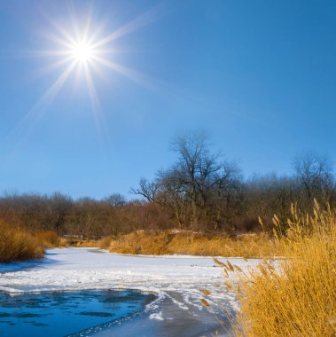 Donmuş nehir, güneşli bir günde bir ormanın içinden akar. Kış doğal arka plan.
