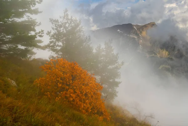 Bergtal Mit Rotem Wald Dichten Nebel — Stockfoto