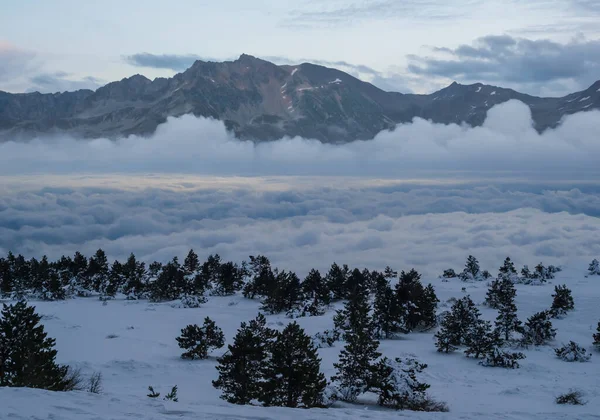 深い霧と雲の中の雪に覆われた山の谷 — ストック写真