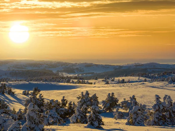 Inverno Nevado Planície Pôr Sol — Fotografia de Stock