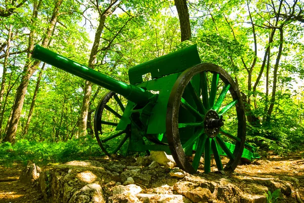 Vecchio Cannone Nella Foresta Monumento Della Seconda Guerra Mondiale — Foto Stock