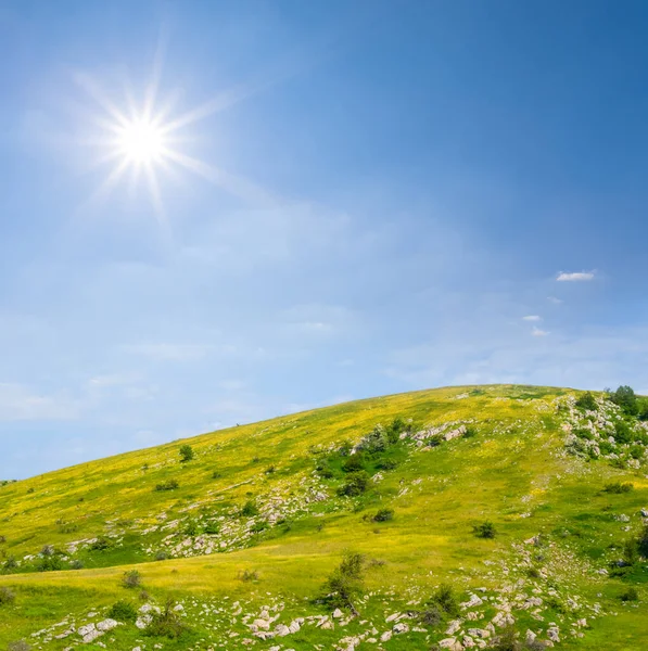 Collina Verde Sotto Sole Scintillante Scena Prateria Naturale — Foto Stock