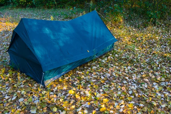 Tente Touristique Dans Forêt Automne Rouge Arrière Plan Voyage Naturel — Photo