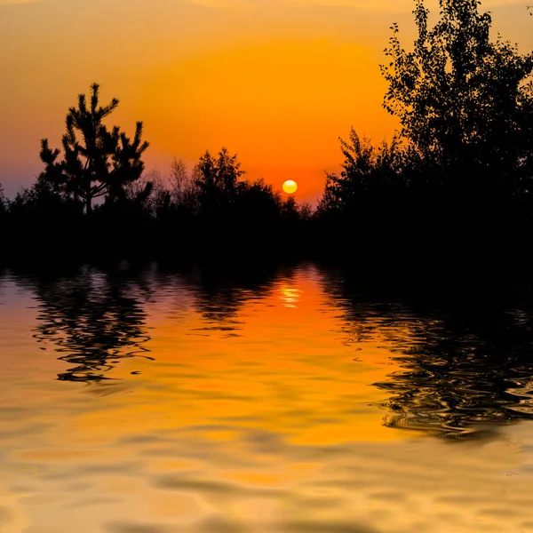 夕阳西下的平静的湖面 美丽的自然夏夜背景 — 图库照片