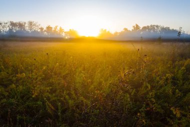 Sabahın erken saatlerinde yoğun sis ve güneş ışığı altında bozkır kırda güneş doğar.
