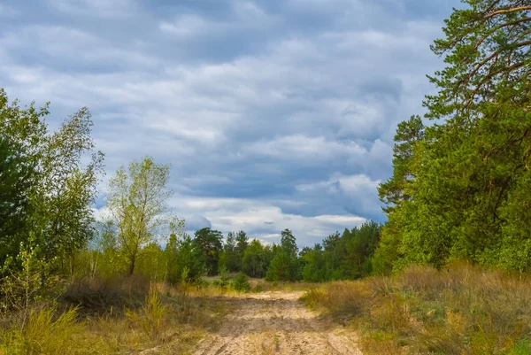 Droga Gruntowa Przez Zielony Las Pod Gęstym Zachmurzonym Niebem — Zdjęcie stockowe