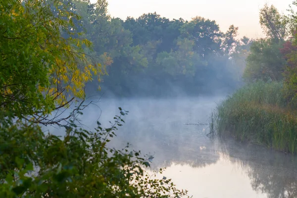 Rivière Calme Avec Forêt Sur Côte Dans Brouillard Scène Extérieure — Photo