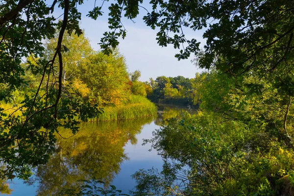 平静的河流 海岸上有森林 户外自然背景 — 图库照片