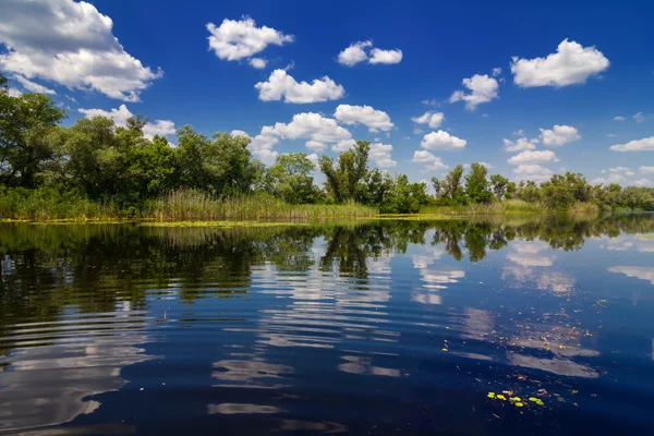 Flusslandschaft im Sommer — Stockfoto