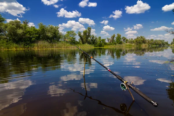 Vis-staaf op een blauwe rivier-scène — Stockfoto