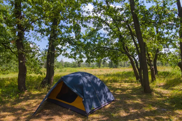 Turistiska tält i en skog — Stockfoto