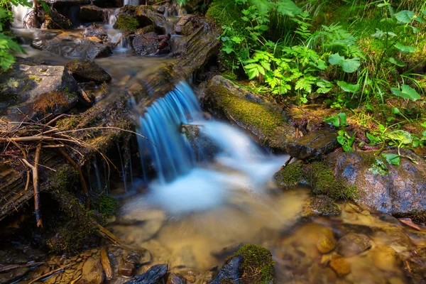 Kleine mountain brook — Stockfoto