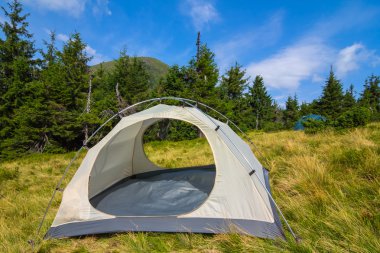 bir ormanda beyaz turistik çadır