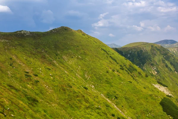 Groene berg scène — Stockfoto