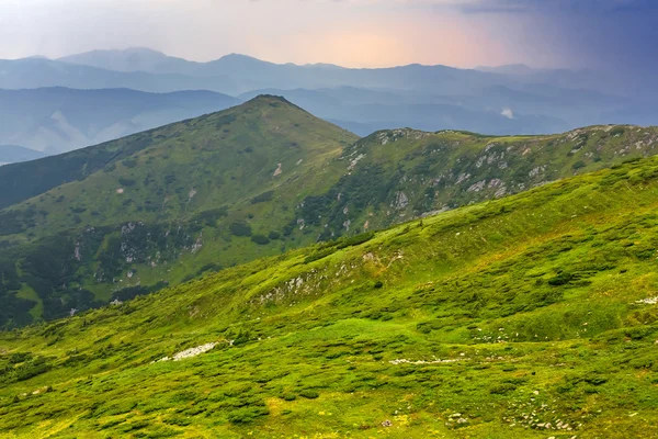 Зелений гірський схил після дощу — стокове фото