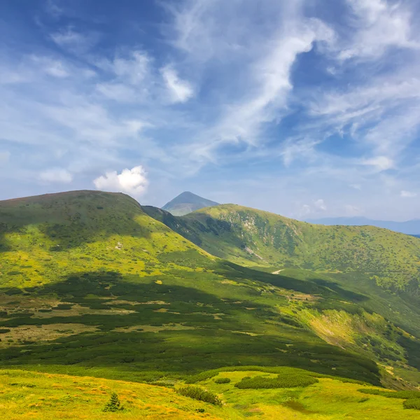 Ucrânia karpaty montanha verde — Fotografia de Stock