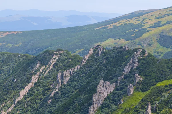 Pasmo górskie Ukraina Karpaty — Zdjęcie stockowe