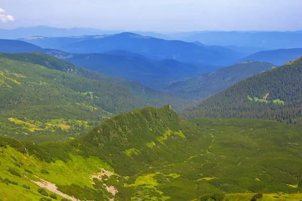 Vale verde da montanha — Fotografia de Stock