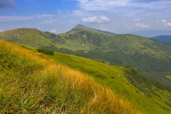 Красивая зеленая гора украинского карпата — стоковое фото