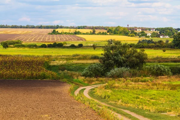 Autumn rural scene — Stock Photo, Image