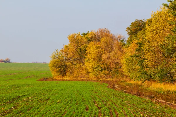 Autumn rural scene — Stock Photo, Image