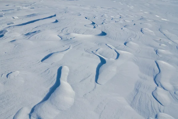 Snowbound plain background — Stock Photo, Image