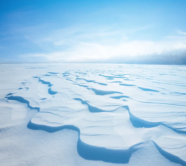 Χειμερινό τοπίο τ — ストック写真