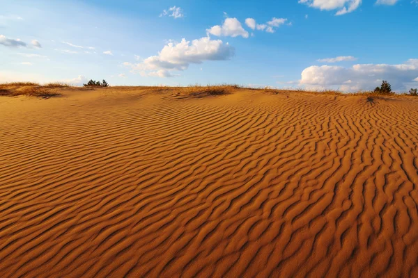 Deserto di sabbia rossa — Foto Stock