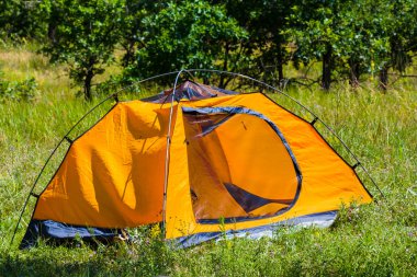 Bir orman glade turuncu çadır