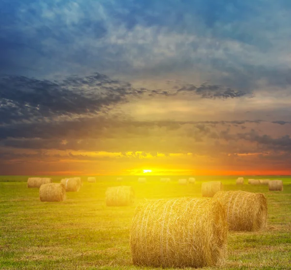 小麦场收获在日落之后 — 图库照片