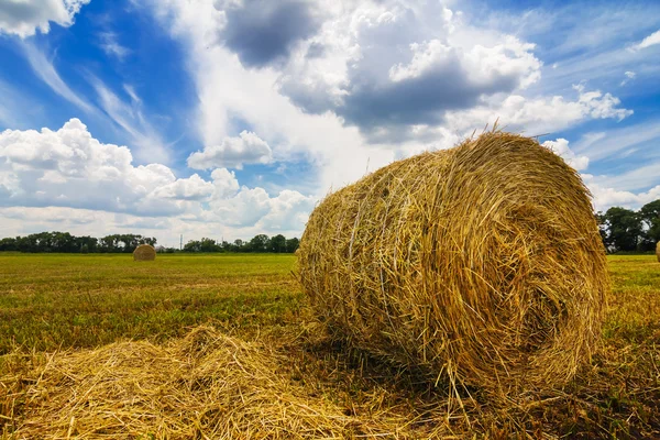 Pajar de trigo de primer plano — Foto de Stock