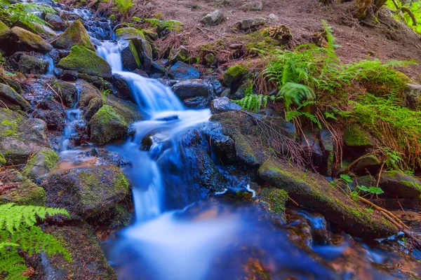 Small brook in a mountain canyon — Stock Photo, Image