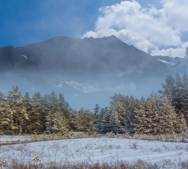 Mont au-delà d'une forêt — Photo