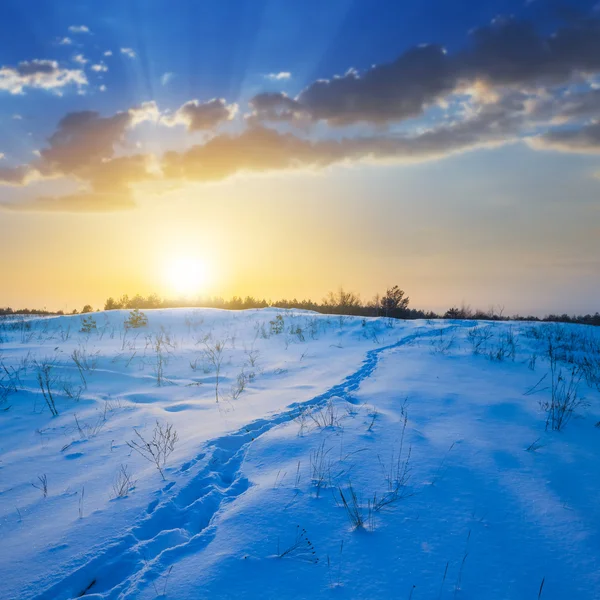 Evening winter plain — Stock Photo, Image
