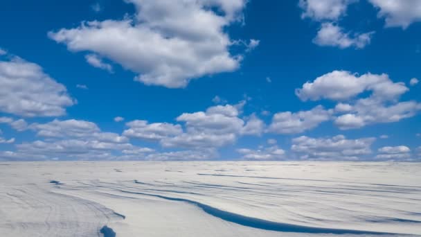 Inverno snowbound cena planície — Vídeo de Stock