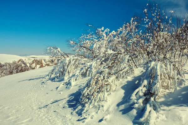 Inverno colline scena — Foto Stock