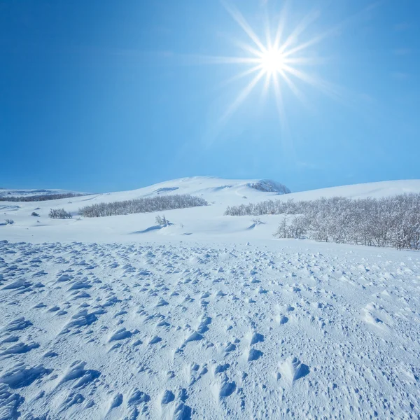 Winter velden in een sneeuw Rechtenvrije Stockfoto's