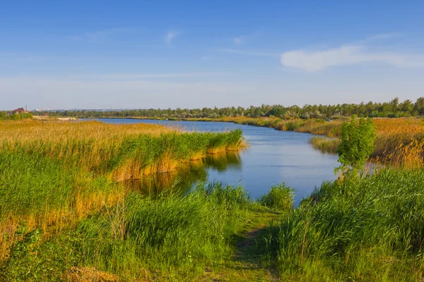 Flusslandschaft im Sommer — Stockfoto