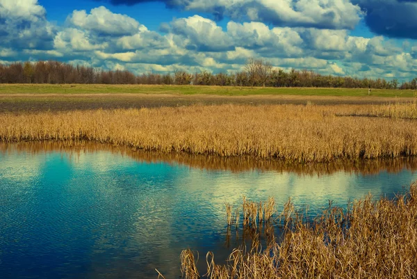 Jezioro w stepu — Zdjęcie stockowe