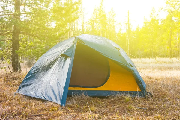 Tenda turistica su una radura forestale — Foto Stock