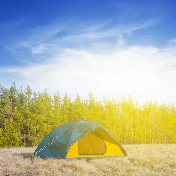 Touristisches Zelt auf einer Waldlichtung — Stockfoto