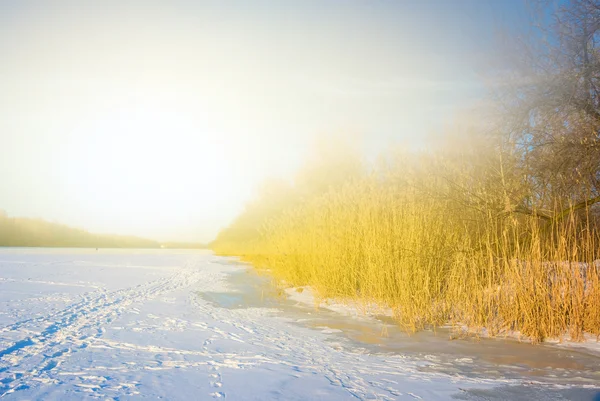 Winter zonsondergang scène — Stockfoto