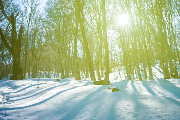 Inverno neve cena — Fotografia de Stock