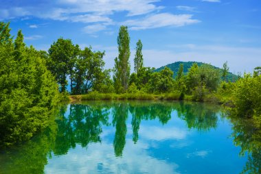Bir ormandaki zümrüt Gölü