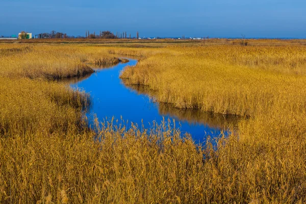 Kleine blauwe rivier — Stockfoto