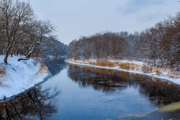 Riwer à travers une forêt enneigée hivernale — Photo