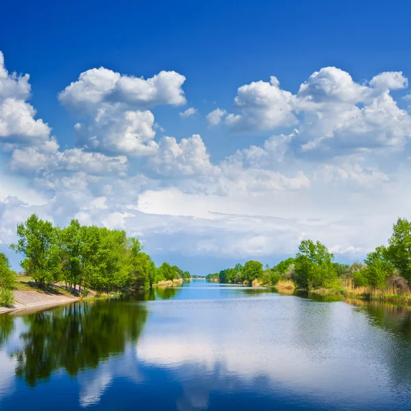 夏天湖现场 — 图库照片