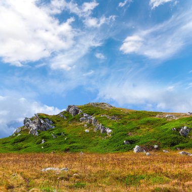 Bir çayır arasında yeşil tepe